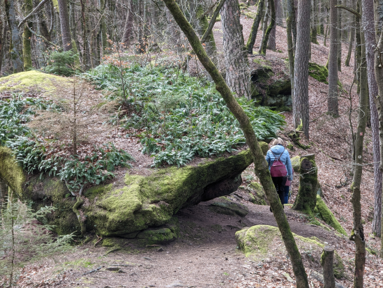 Lemberger Rothenberg-Tour am 19. März 2023